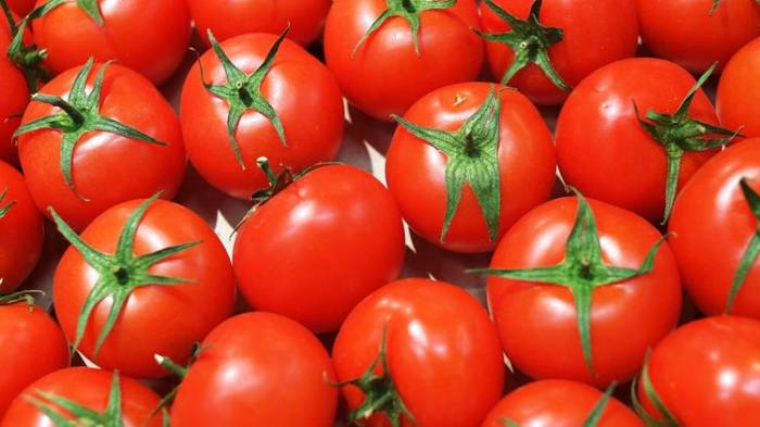 Свыше 50 тонн томатов из Азербайджана не допущены к ввозу на территорию РФ