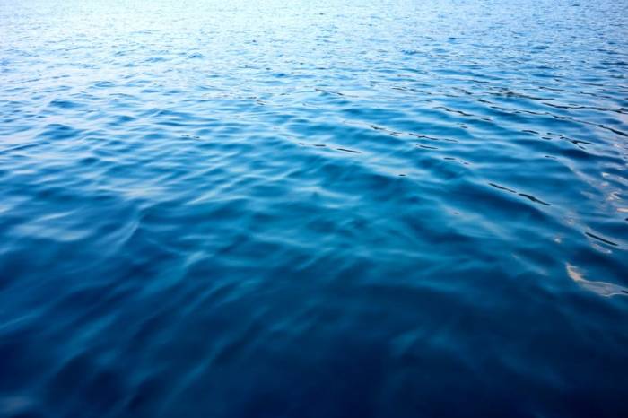 Исследователи: морская вода — самый опасный яд на планете
