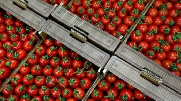 Россия разрешила ввоз томатов из Азербайджана