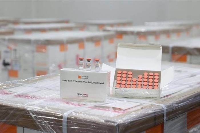 Начинается поставка в Турцию второй партии вакцин от коронавируса
