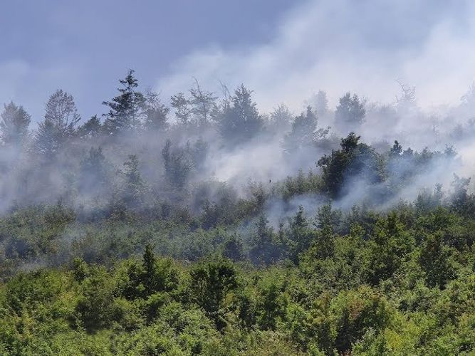 МЧС: Продолжаются мероприятия по тушению пожара в Гирканском национальном парке