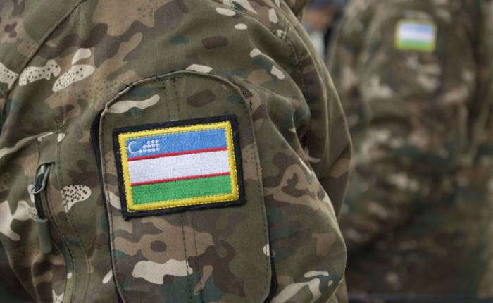 В Узбекистане будут созданы отряды содействия пограничных войскам
