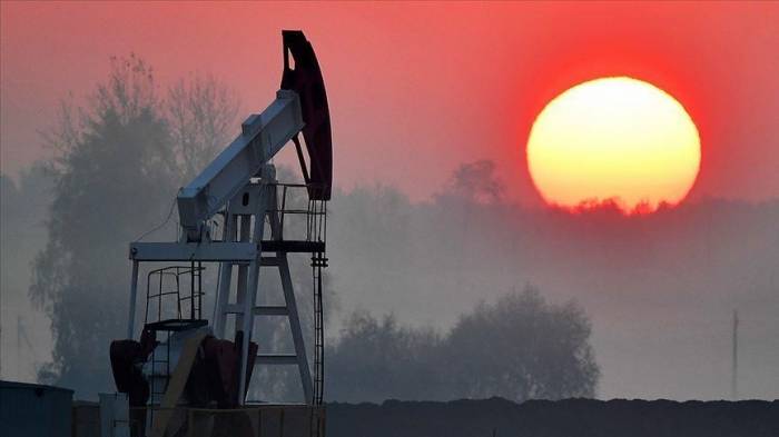 Цена на нефть марки Brent превысила $55