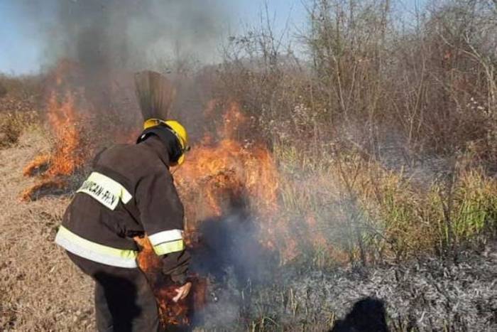 МЧС: Пожар в Гирканском национальном парке потушен в одном направлении – ВИДЕО
