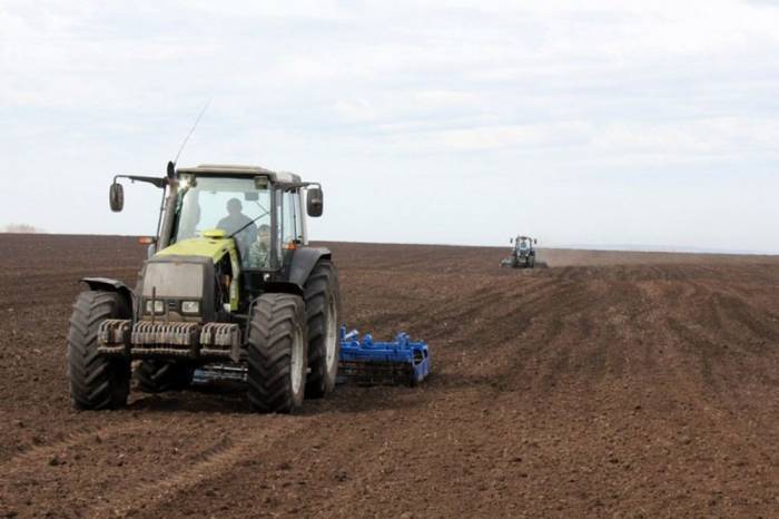 В 2020 году общая площадь посева зерна в Азербайджане превысила 1 млн. га

