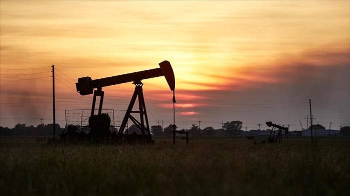 Баррель нефти Brent достиг $54,97