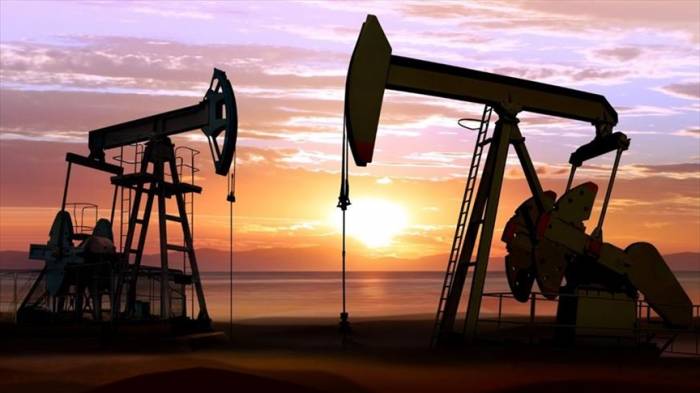 Цена барреля нефти марки Brent превысила $56