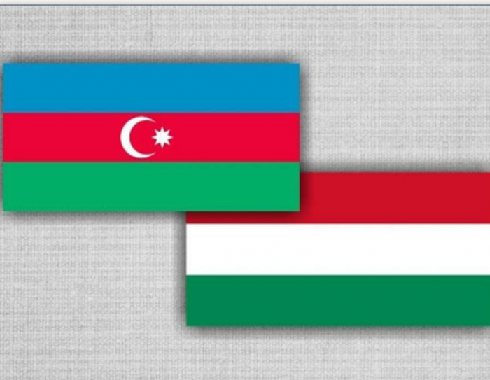 Венгерская система транспортировки готова к приему азербайджанского природного газа - МИД