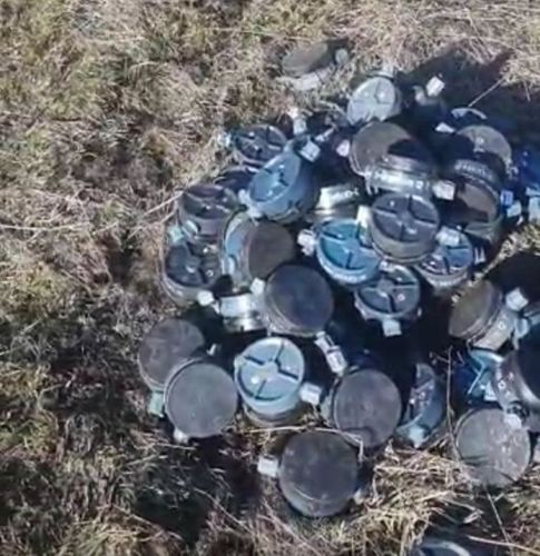 В Губадлинском районе саперы обезвредили 120 противопехотных мин
