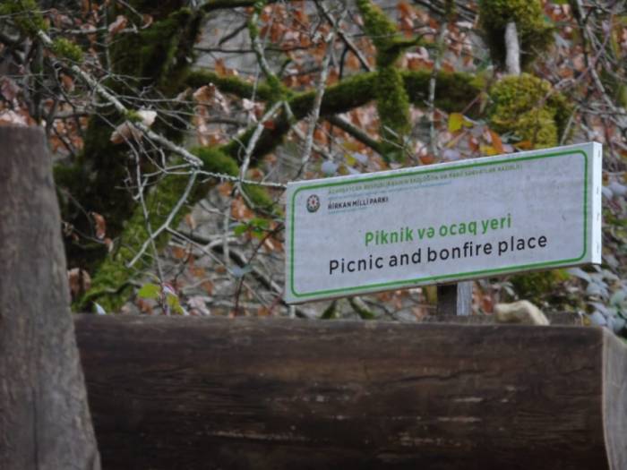 В Гирканском национальном парке будет проведен день "открытых дверей"
