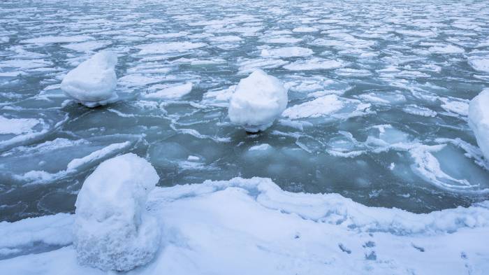 С отколовшейся льдины у берегов Сахалина спасли 26 рыбаков