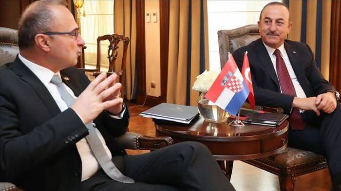 Главы МИД Турции и Хорватии обсудили Карабах
