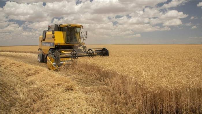 Площадь посевов сельхозкультур в Казахстане достигнет 22,7 млн га