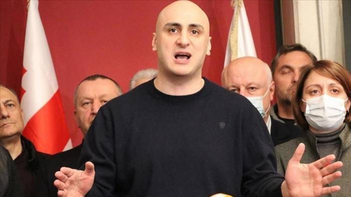 В Грузии задержали лидера ведущей оппозиционной партии