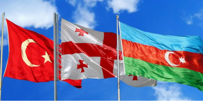 Отложена трехсторонняя встреча глав МИД Азербайджана, Грузии и Турции 
