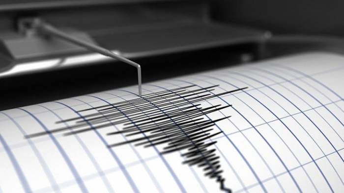 Землетрясение магнитудой 4,6 произошло в Японии
