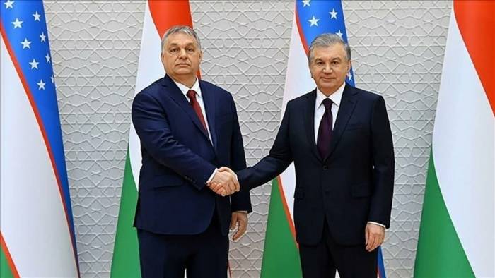 Лидеры Узбекистана и Венгрии провел переговоры в Ташкенте
