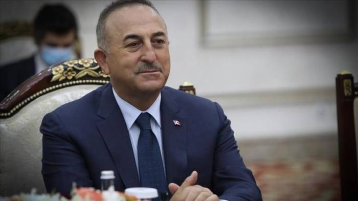 Главы МИД Турции и Катара обсудили ситуацию в регионе