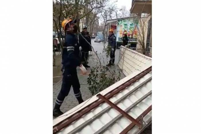 МЧС: Сильный ветер привел к последствиям на улицах Баку - ВИДЕО