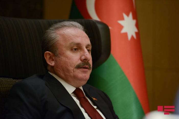 Шентоп: Турецко-азербайджанское сотрудничество - пример для всех тюркских республик