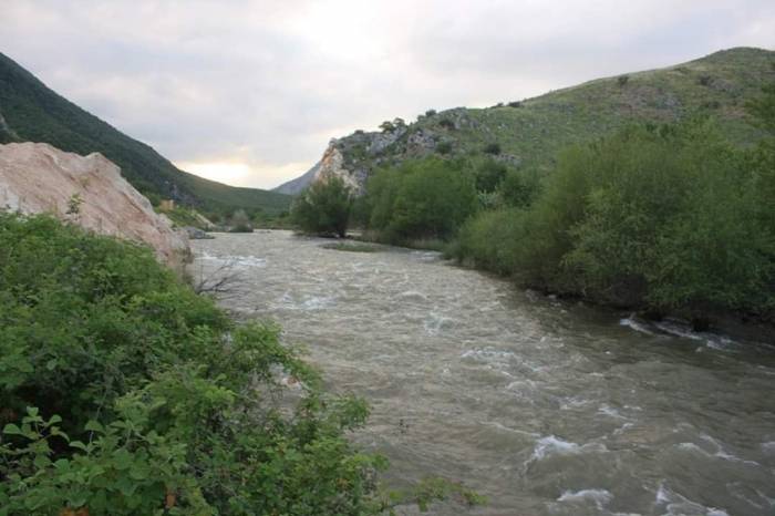 Загрязнение токсичными отходами с территории Армении привело к гибели рыб в реке в Зангиланском районе
