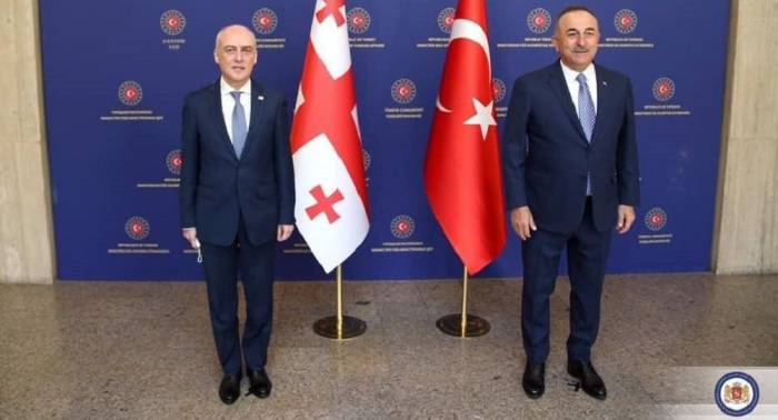 Торговые отношения, партнерство и перспективы – что обсудили главы МИД Грузии и Турции