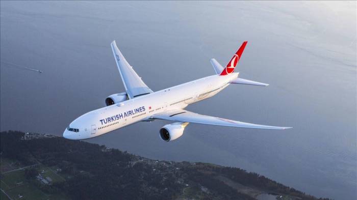 Между Турцией и Кыргызстаном увеличится количество авиарейсов
