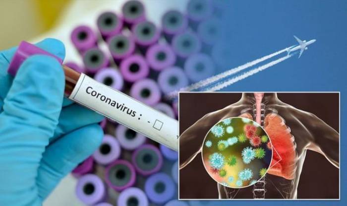 В мире за сутки выявили более 513 тыс. случаев заражения коронавирусом
