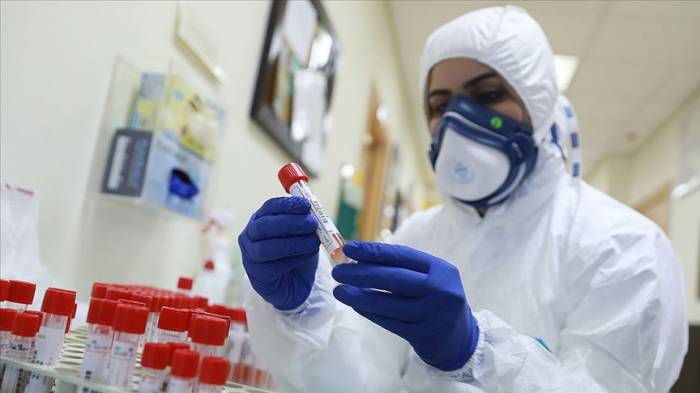 В Грузии выявлено 268 новых случаев коронавируса
