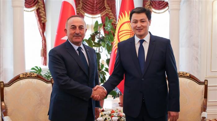 Премьер-министр Кыргызстана принял главу МИД Турции
