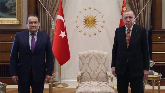 Президент Турции принял генсека Тюркского совета