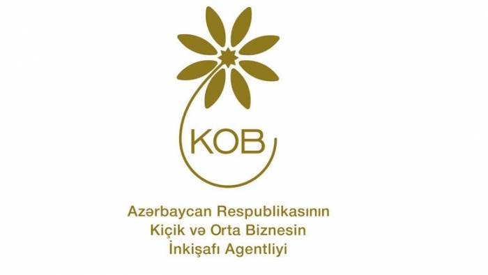 В Агентство по развитию МСБ поступило около 400 обращений для создания бизнеса на освобожденных территориях Азербайджана
