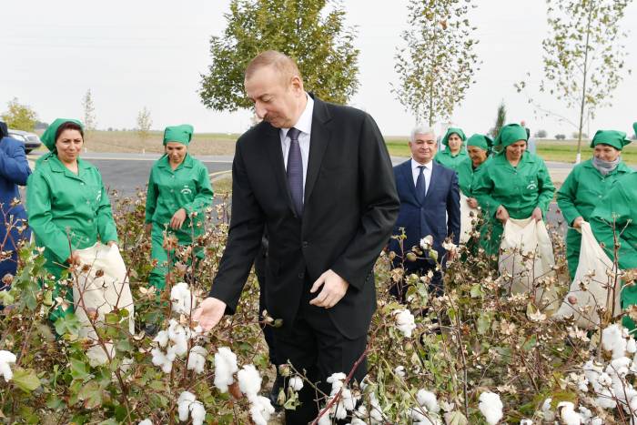 Ильхам Алиев посмотрел процесс посева на хлопковом поле фермера Эльшана Халилова