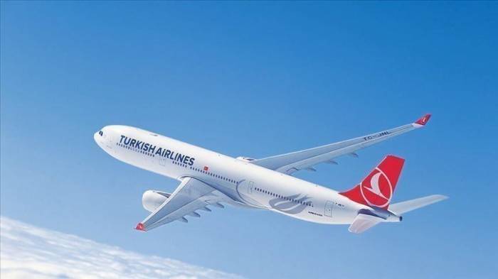 Turkish Airlines приостановила полеты в Россию до 1 июня
