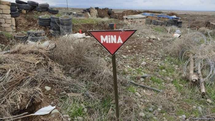 В Азербайджане от мин и неразорвавшихся боеприпасов очищена территория площадью 1 731 га - Агентство
