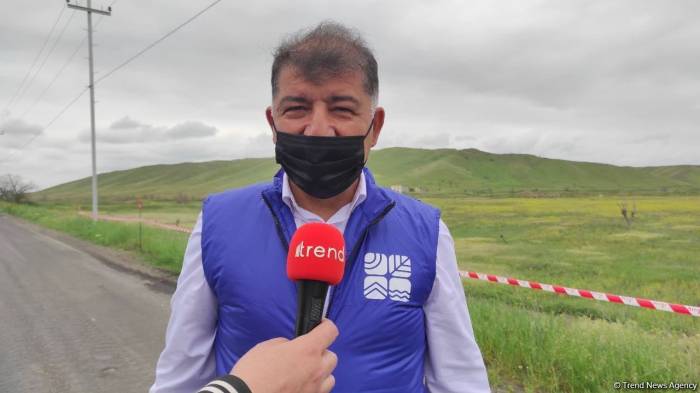 Армяне совершили экологический террор на оккупированных землях Азербайджана - минэкологии
