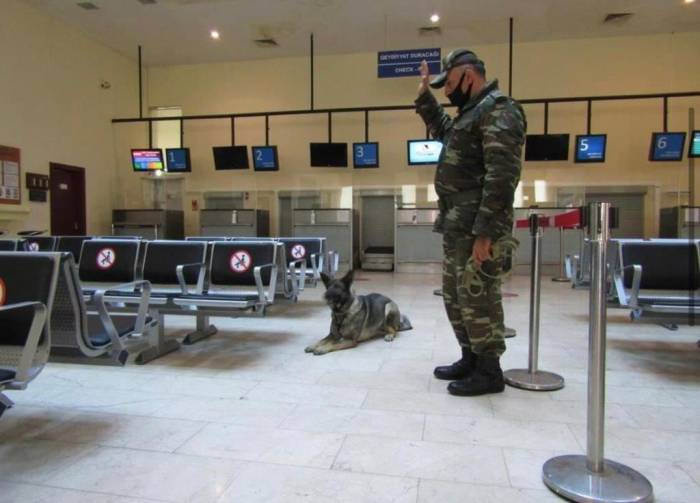 МЧС Азербайджана провело учения в аэропорту Забрата - ФОТО
