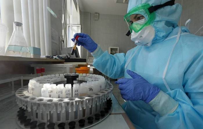 В Британии обнаружили новый вид потенциально опасного коронавируса
