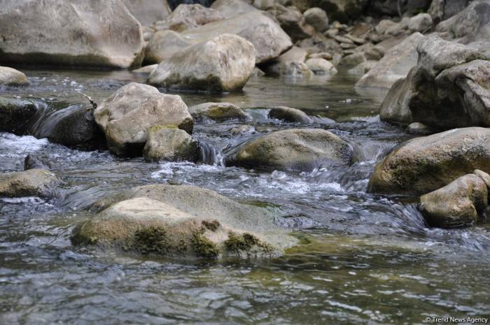 В Карабахе расположены 14 рек и 9 водохранилищ - минэкологии
