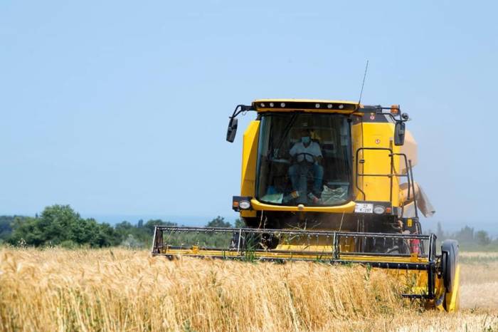За счет земледелия в Карабахе валовая продукция сельского хозяйства вырастет на 10 процентов – прогноз