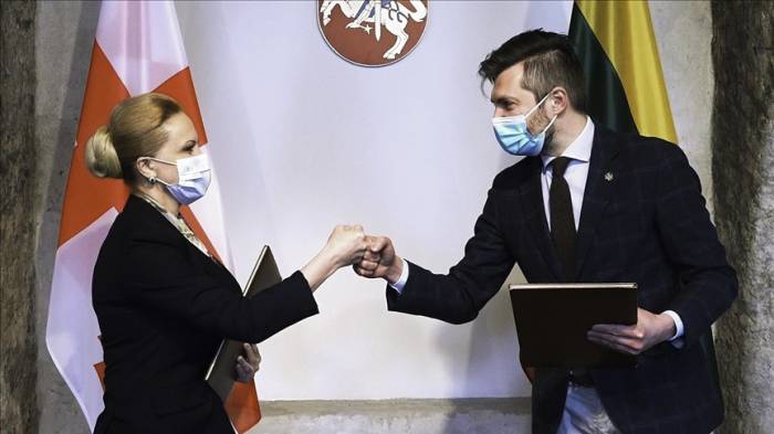 Грузия и Литва утвердили план сотрудничества в сфере обороны
