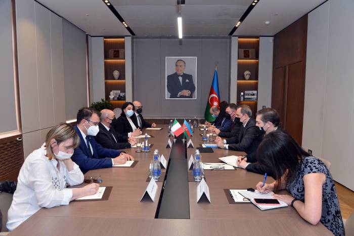 Глава МИД Азербайджана принял делегацию Сената Италии - ФОТО