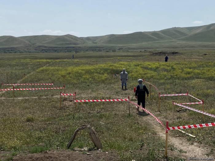 Суговушан и Талышкенд очищаются от мин для строительства ЛЭП - ФОТО