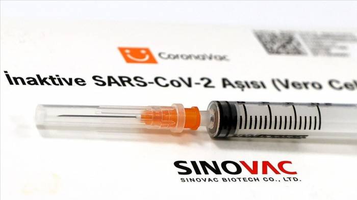 В ЕС начали предварительную оценку китайской вакцины Vero Cell
