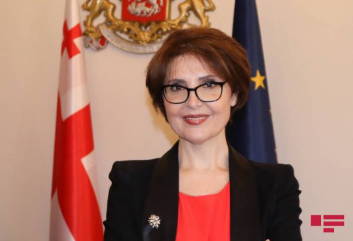 Председатель комитета парламента Грузии: Никто не может разрушить наши прекрасные отношения с Азербайджаном
