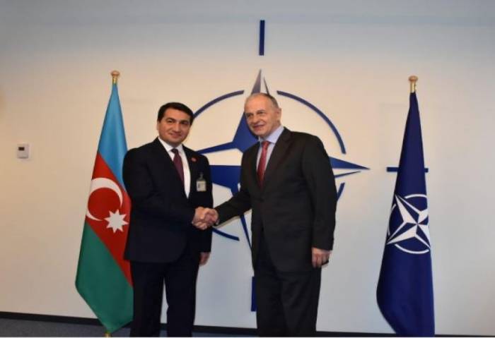 Хикмет Гаджиев встретился с заместителем генсека НАТО