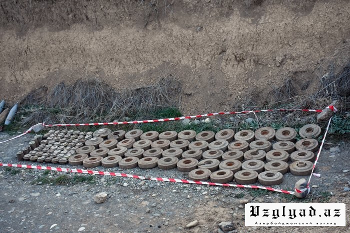 ANAMA: От мин расчищены еще 243 га освобожденных азербайджанских территорий
