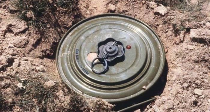 В Азербайджане от мин очищенo свыше 120 га
