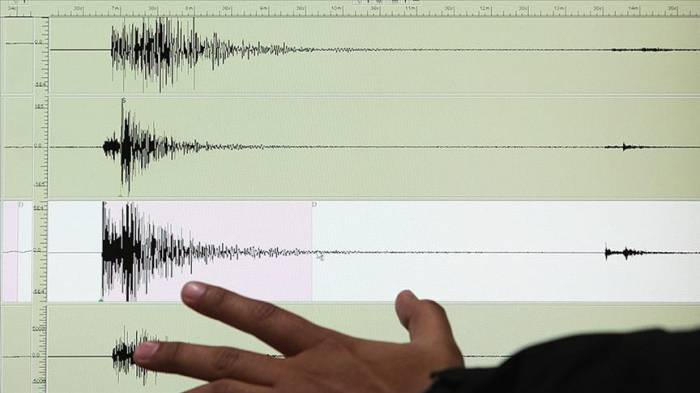 В Иране произошло землетрясение
