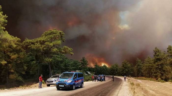В лесных массивах Турции бушуют пожары